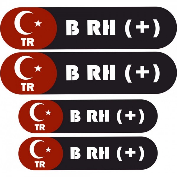 KAN GRUBU  ETİKETİ 4 PARÇA B RH(+)